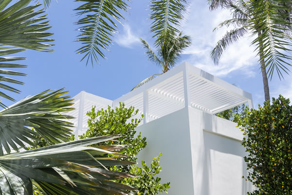 florida modern beach house landscape pergola, palm trees and native plants