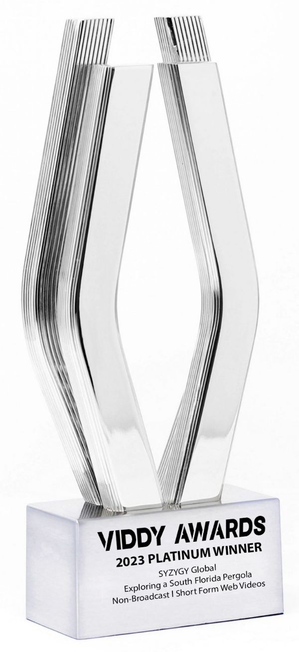 Viddy Award Syzygy Platinum