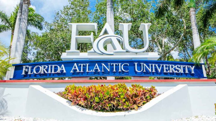FAU pergola project