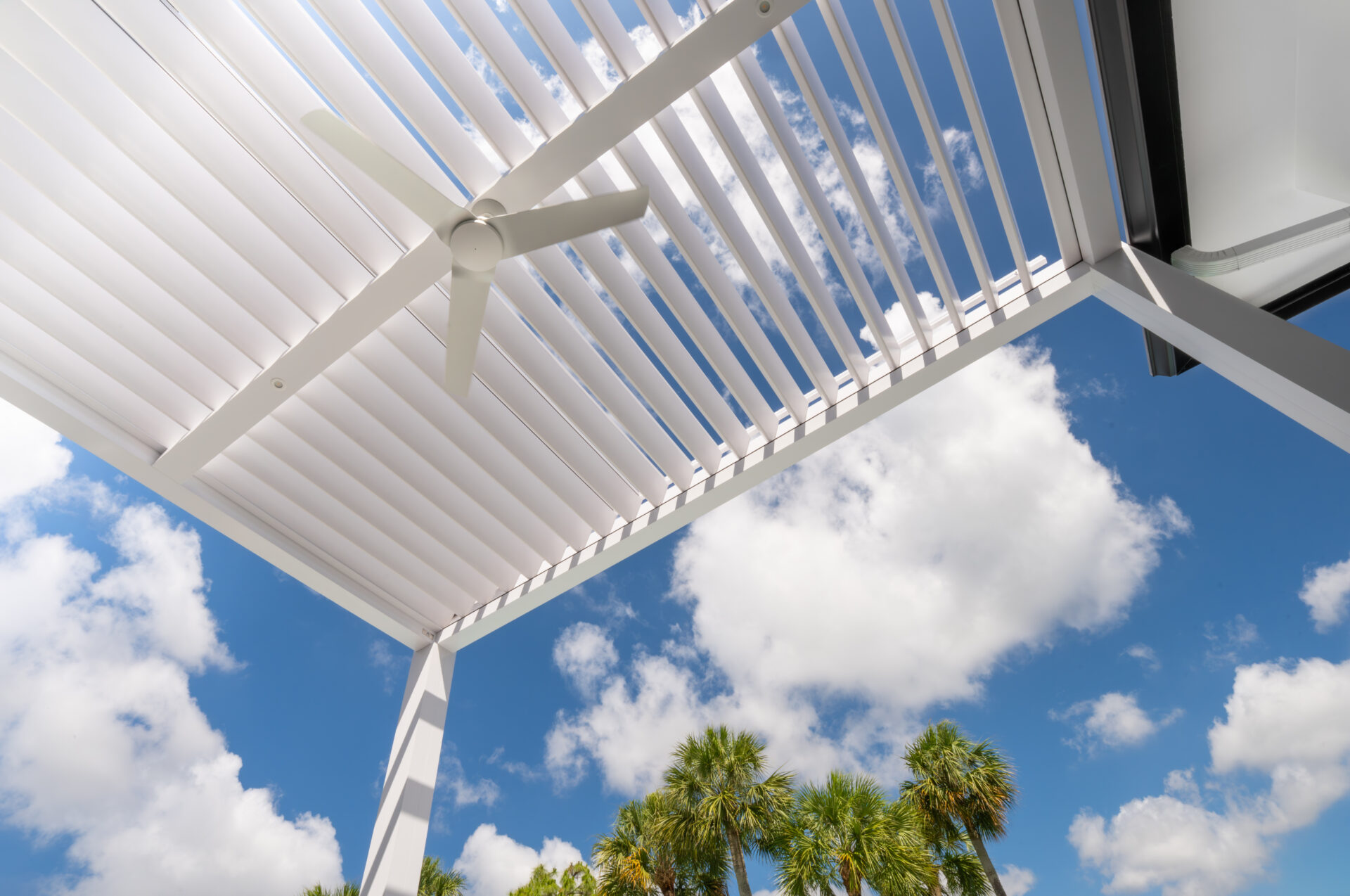 Upward view of white louvered pergola with ceiling fan against blue sky and palm trees in Florida.
